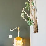 Apartment Gorgona *
